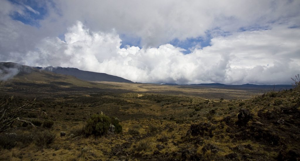 Mount Kilimanjaro trekking Shira route