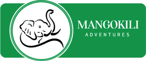 mango tour operator