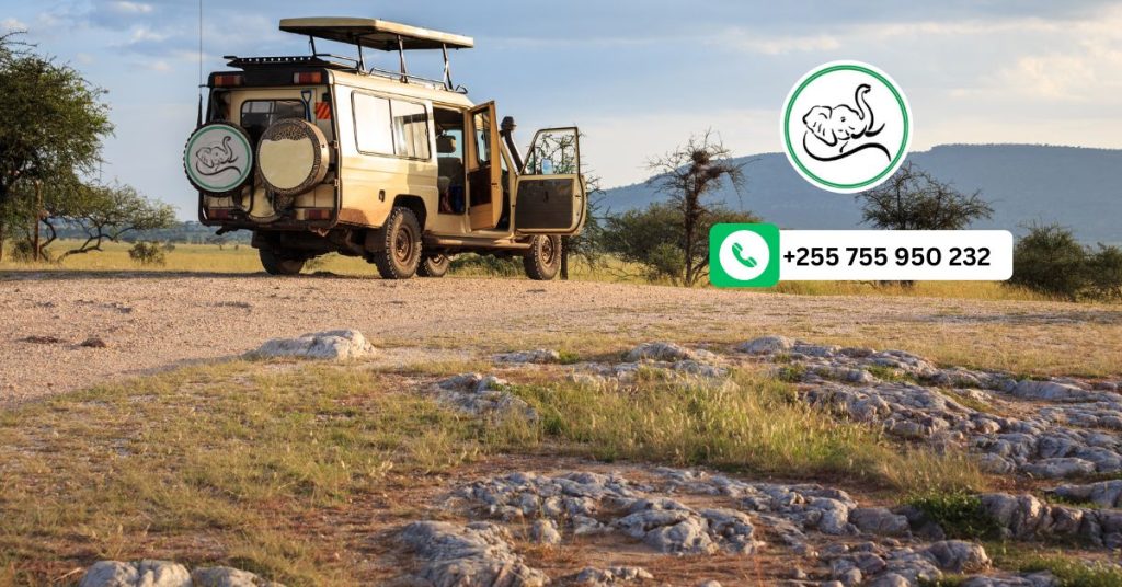 Best Tanzania Holiday Packages
