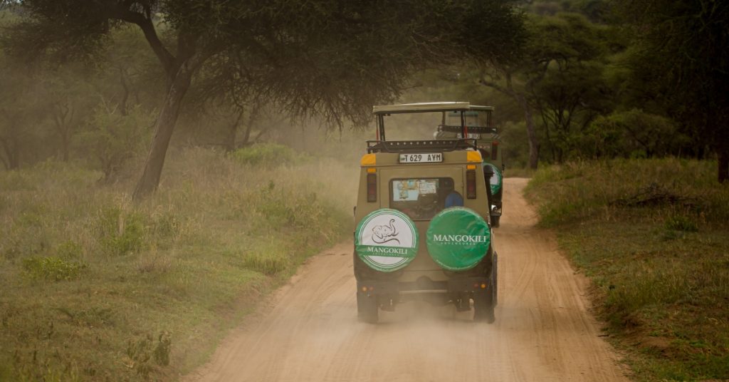 Tanzania Safari Tour Activities