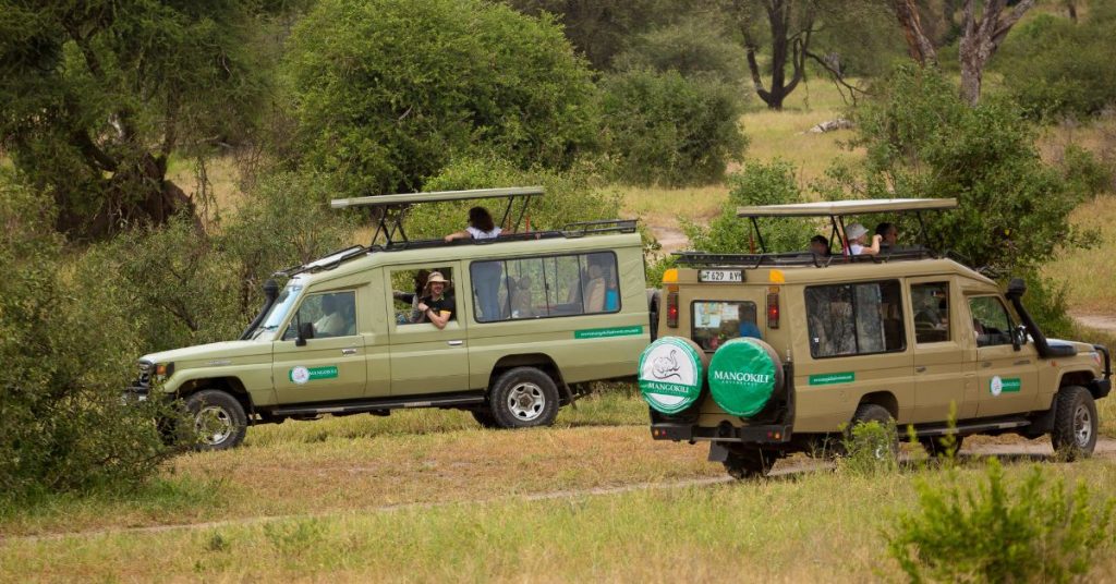 Tanzania safari tour packages