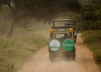 Tanzania Safari Tour Activities