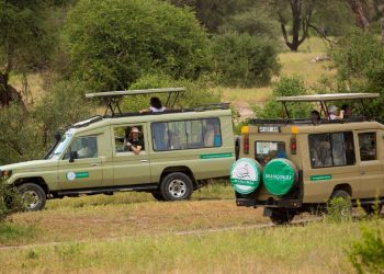 Tanzania safari tour packages